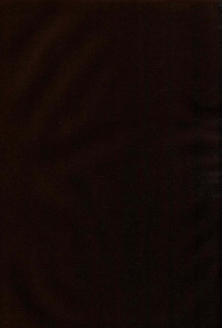 湖南乡镇简志郴州市卷 上.pdf电子版_湖南省志插图4