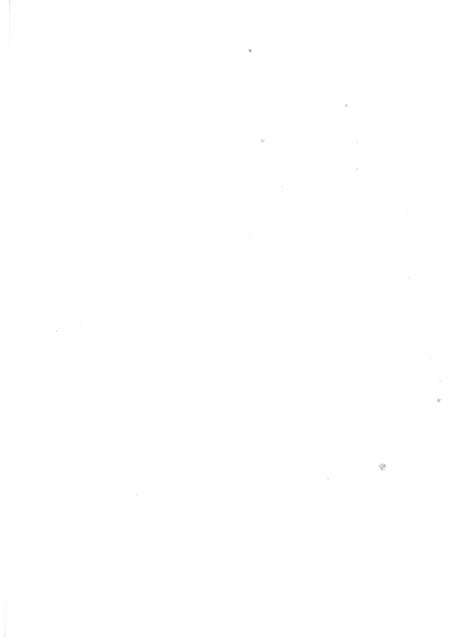 濮阳华龙区年鉴2008.pdf电子版_河南省志插图4