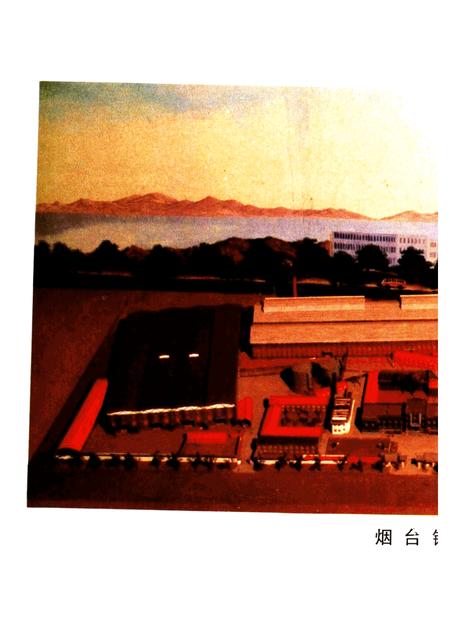 烟台钢管厂志  1949-1985.pdf电子版_山东省志插图4