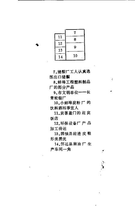珠城一枝花  崛起的蚌埠乡镇企业.pdf电子版_安徽省志插图4