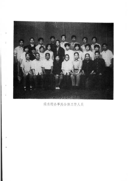 绿林村街道志.pdf电子版_河南省志插图4