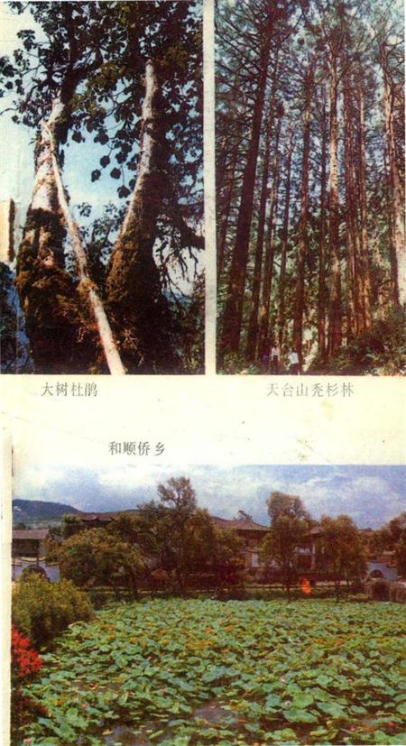 腾冲风情录.pdf电子版_云南省志插图4