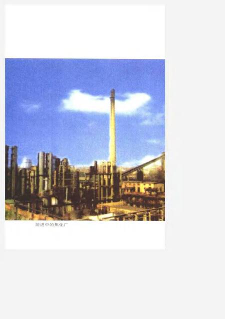 莱钢志  焦化厂志  1996-2000.pdf电子版_山东省志插图4