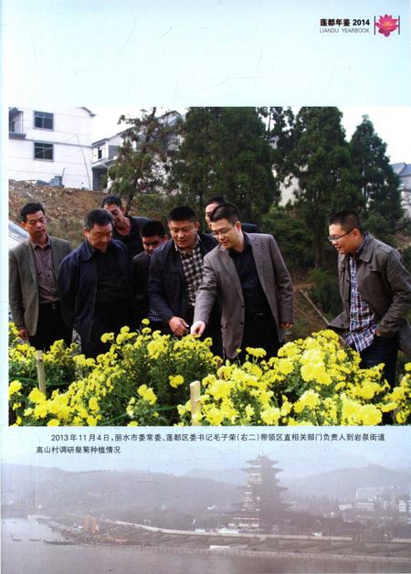 莲都年鉴-2014.pdf电子版_浙江省志插图4