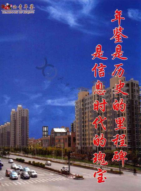 西青年鉴2013.pdf电子版_天津市志插图4