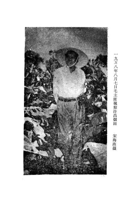 许昌烤烟发展史话.pdf电子版_河南省志插图4