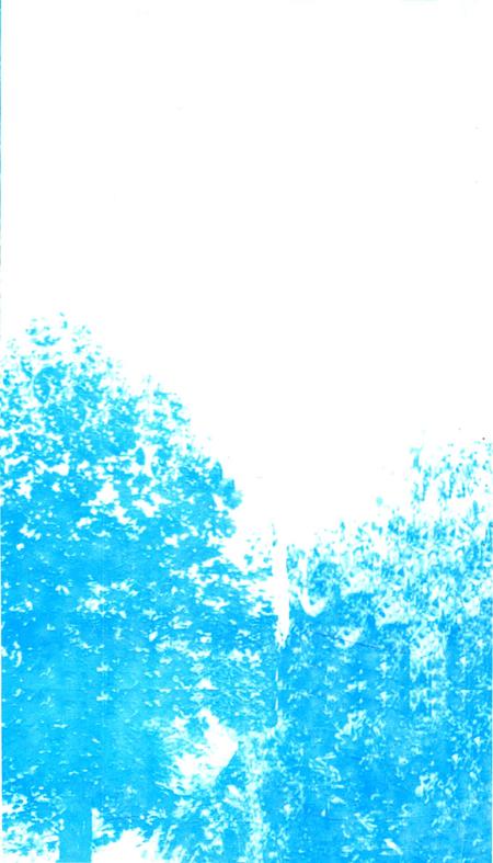 阜阳古树名木.pdf电子版_安徽省志插图4