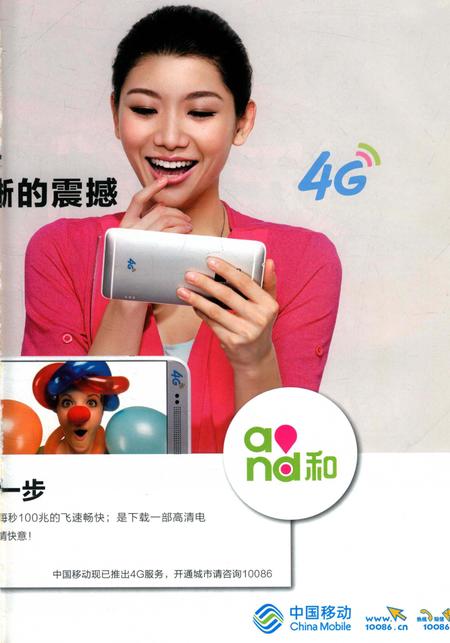 阜阳年鉴 2013.pdf电子版_安徽省志插图4