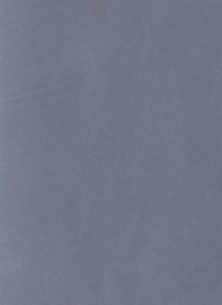 防城港公安志.pdf电子版_广西壮族自治区志插图4