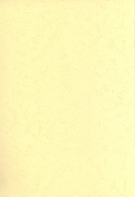 防城港文化遗产从书.历文化遗产部分.pdf电子版_广西壮族自治区志插图4