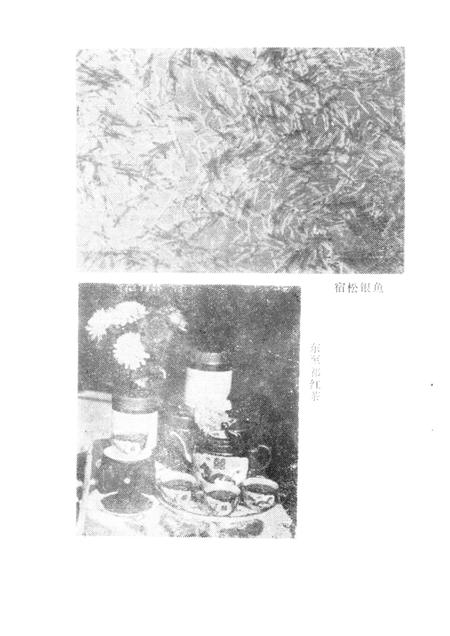 安庆地区土物产.pdf电子版_安徽省志插图4