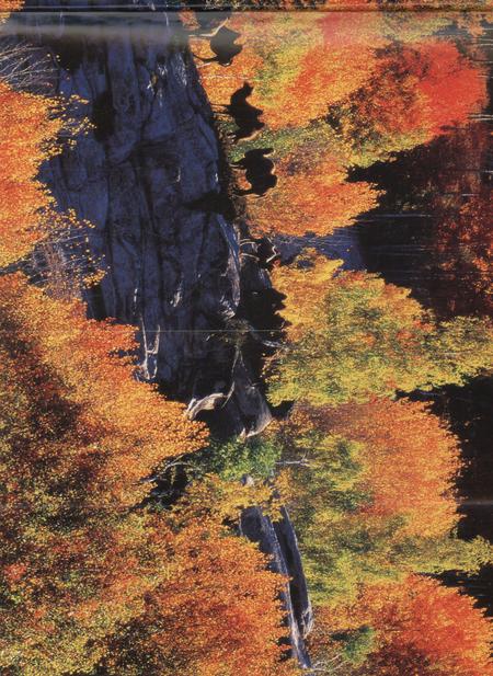 新疆画报2008年第05期.pdf电子版_新疆维吾尔族自治区志插图4