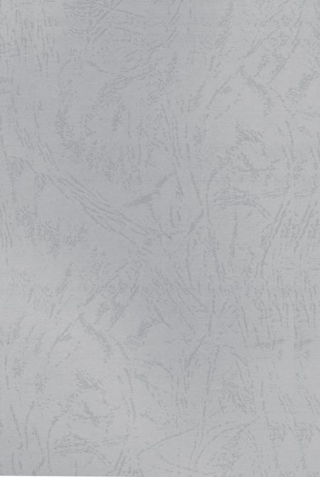 驰骋四海资兴人.pdf电子版_湖南省志插图4