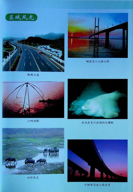 铜陵市铜陵郊区志(2000).pdf电子版_安徽省志插图4