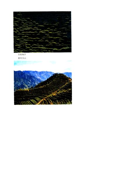 1986-景宁畲族自治县概况.pdf电子版_浙江省志插图4