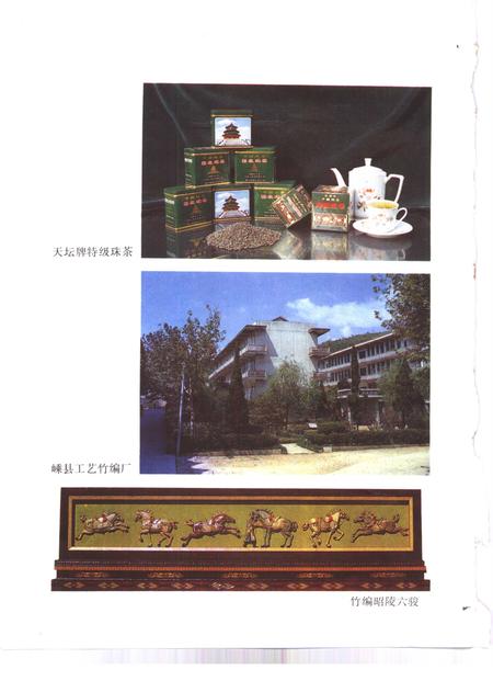 1989-嵊县志.pdf电子版_浙江省志插图4