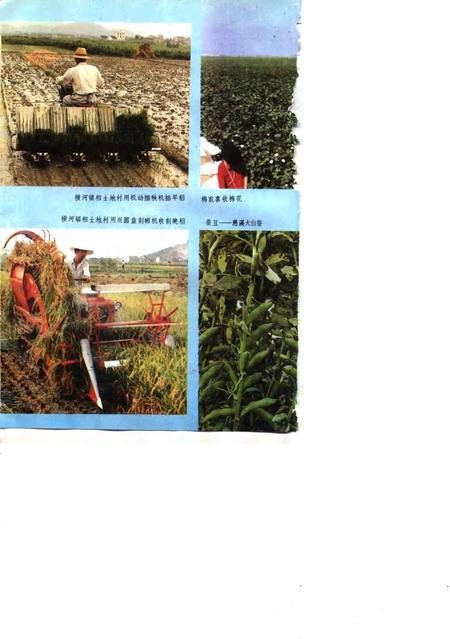 1991-慈溪农业志.pdf电子版_浙江省志插图4