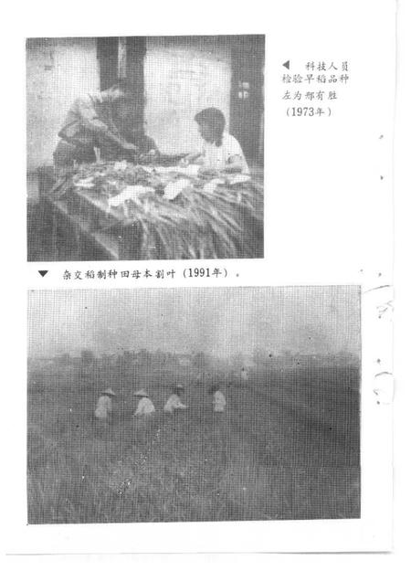 1994-建德文史资料  第11辑  农业专辑.pdf电子版_浙江省志插图4