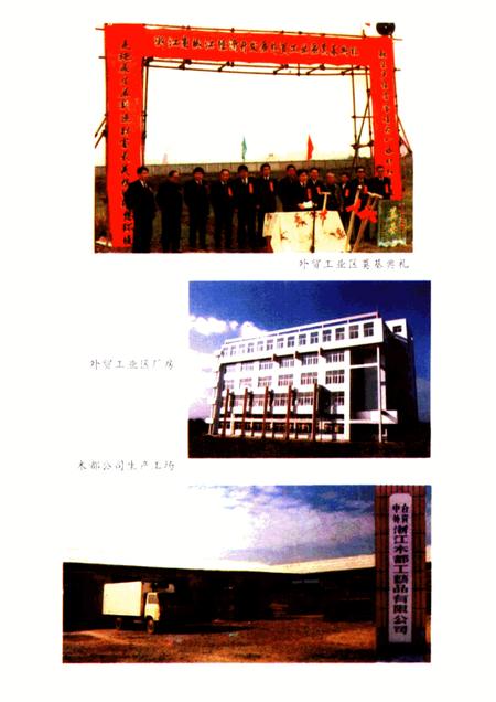 1994-椒江市对外经济贸易志.pdf电子版_浙江省志插图4