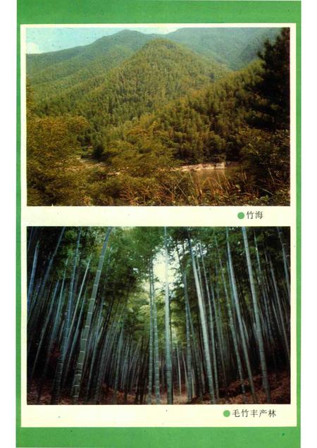 1996-湖州市志丛书  湖州市林业志.pdf电子版_浙江省志插图4