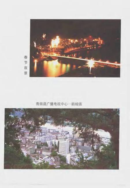 1998-青田县广播电视志.pdf电子版_浙江省志插图4