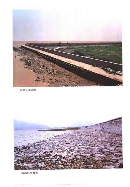 1999-苍南县水利志.pdf电子版_浙江省志插图4