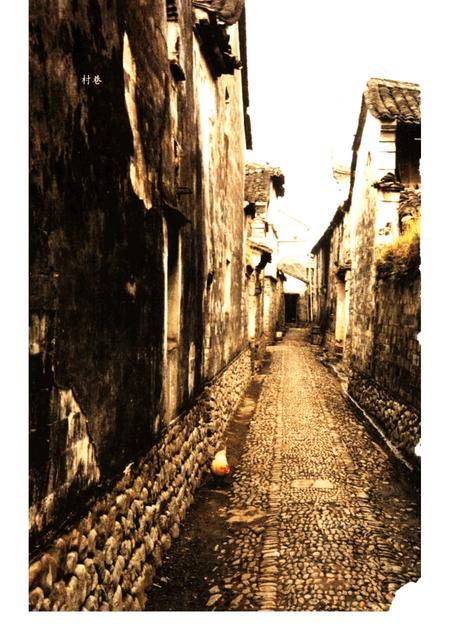 2005-宁海古村落.pdf电子版_浙江省志插图4