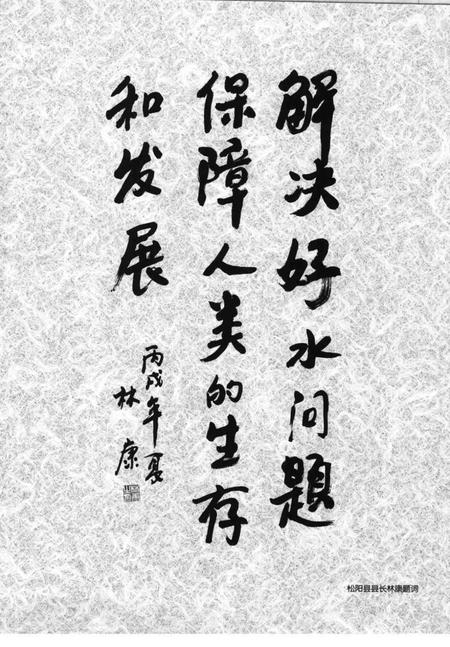 2006-松阳县水利志.pdf电子版_浙江省志插图4