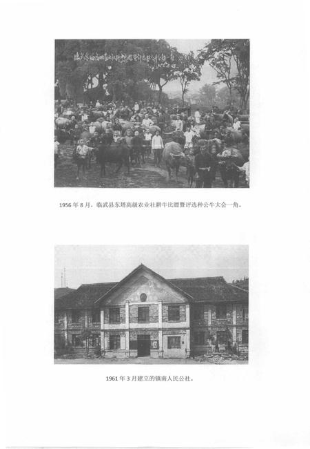 中国共产党临武历史第二卷（1949—1978）.pdf电子版_湖南省志插图4