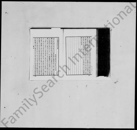 浙江罗氏族谱-上虞罗氏枝分谱.pdf电子版插图2