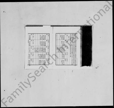 浙江罗氏族谱-上虞罗氏枝分谱.pdf电子版插图3