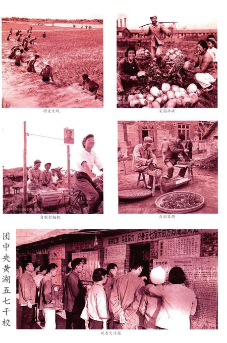 五七干校在信阳 信阳文史资料第九辑（上）.pdf电子版_河南省志插图5