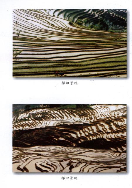 元阳文史资料选辑（第四辑）.pdf电子版_云南省志插图5