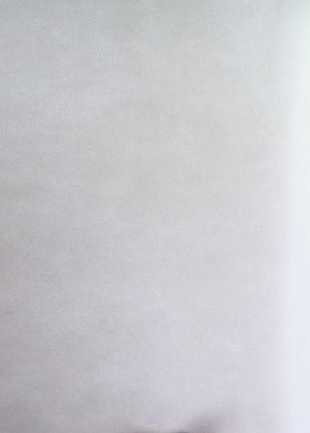 吉林画报特刊辉煌吉林（1949.10.1–2009.10.1）.pdf电子版_吉林省志插图5