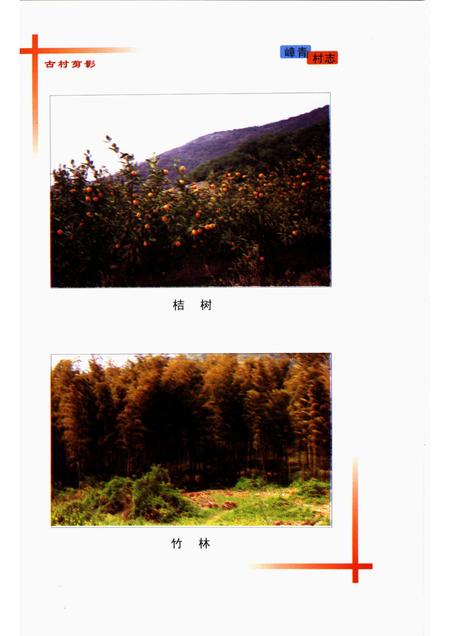 嶂青村志.pdf电子版_江苏省志插图5