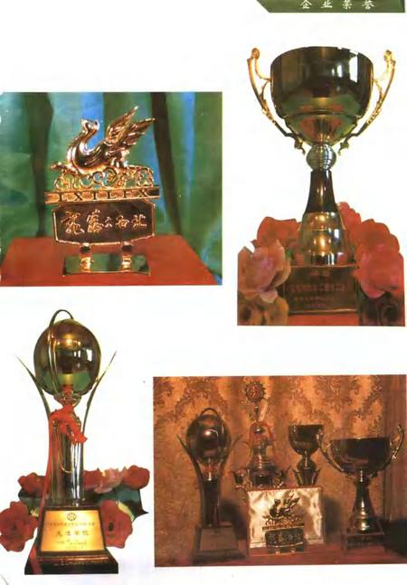 工一师二团志.pdf电子版_新疆维吾尔自治区志插图5