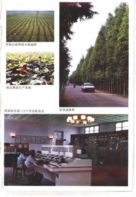 常德地区志  国营农场志.pdf电子版_湖南省志插图5