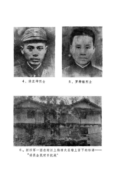 平江惨案资料汇编.pdf电子版_湖南省志插图5