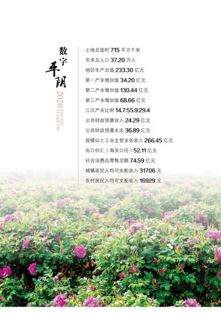 平阴年鉴2021.pdf电子版_山东省志插图5