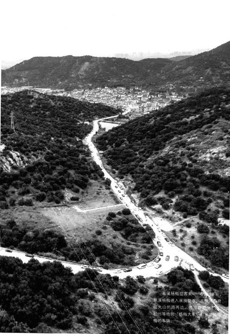 慈溪年鉴2017.pdf电子版_浙江省志插图5