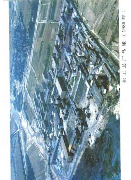 招远化工总厂志.pdf电子版_山东省志插图5