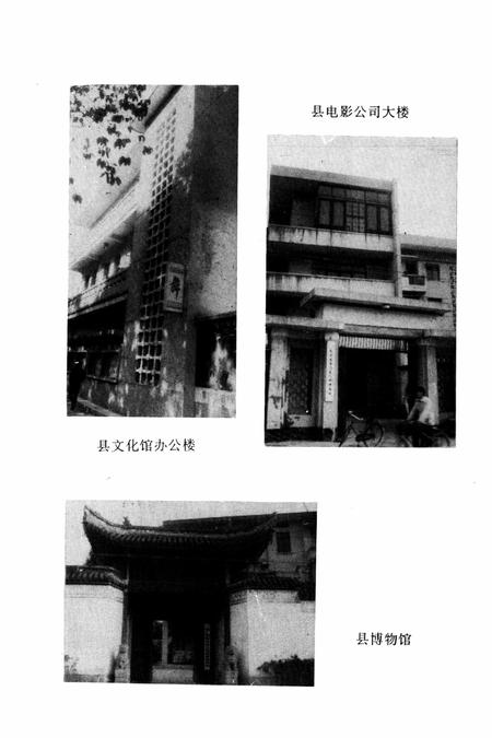 武义县文化志.pdf电子版_浙江省志插图5