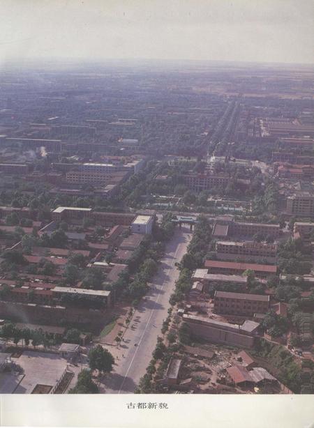 洛阳市公共交通志.pdf电子版_河南省志插图5