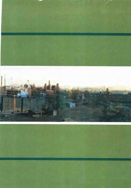 济南铁厂志  第1卷  1957-1985.pdf电子版_山东省志插图5