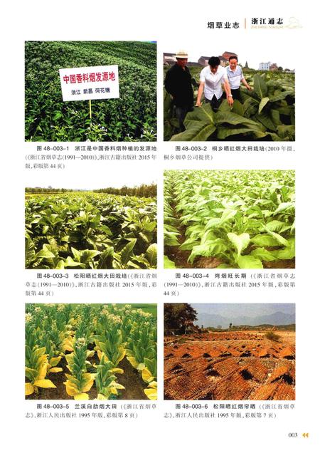 浙江通志  第48卷  烟草业志-《浙江通志》编纂委员会编-杭州：浙江人民出版社.pdf电子版_浙江省志插图5