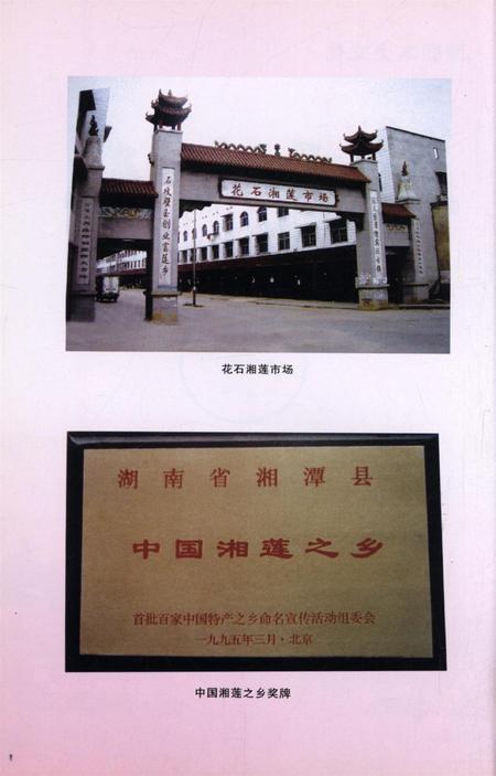 湖湘本土文化·花石文史.pdf电子版_湖南省志插图5