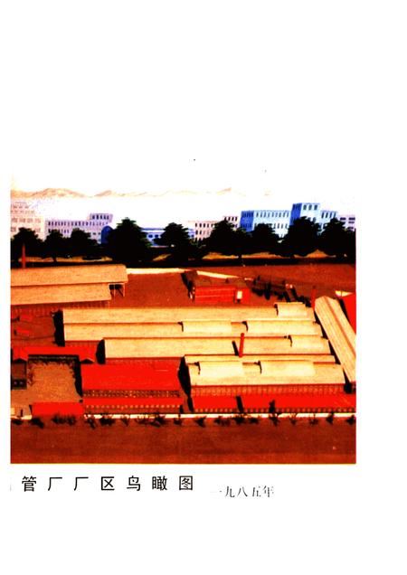 烟台钢管厂志  1949-1985.pdf电子版_山东省志插图5