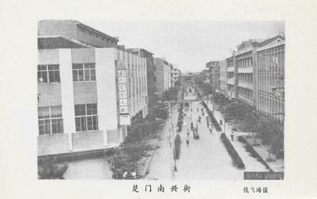 玉环文史资料 选辑.pdf电子版_浙江省志插图5