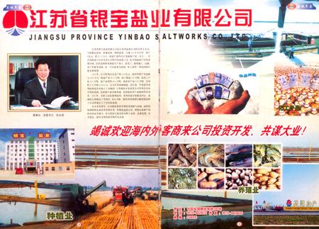 盐城年鉴 2003.pdf电子版_江苏省志插图5