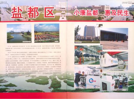 盐城统计年鉴 2012.pdf电子版_江苏省志插图5